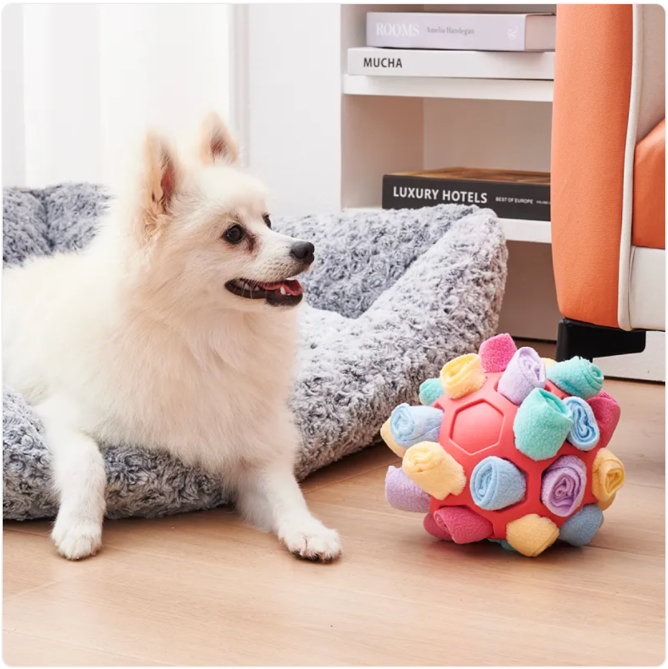 Dog Sniffing Puzzle Ball Toy