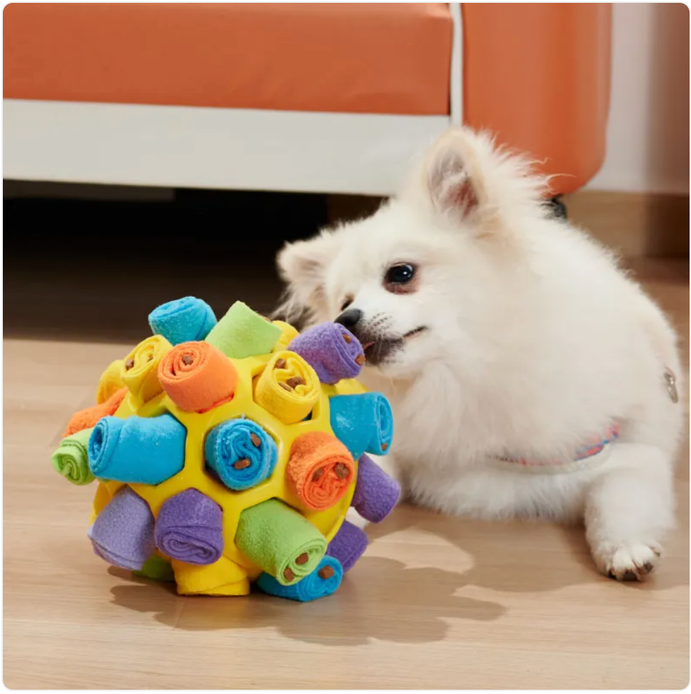 Dog Sniffing Puzzle Ball Toy